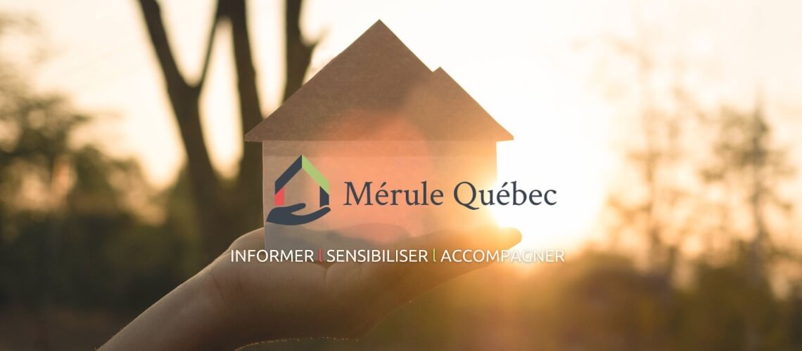 Nouveau logo Mérule Québec