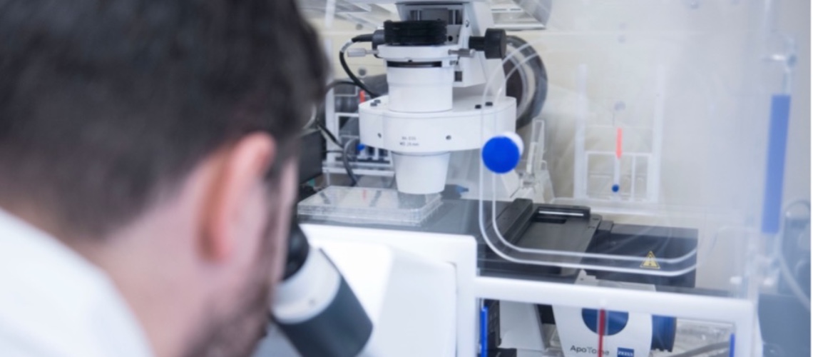 Observation d’un échantillon au microscope dans un laboratoire spécialisé.