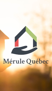 Nouveau logo Mérule Québec