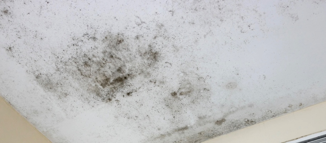 Présence de moisissures sur le plafond d'un bâtiment