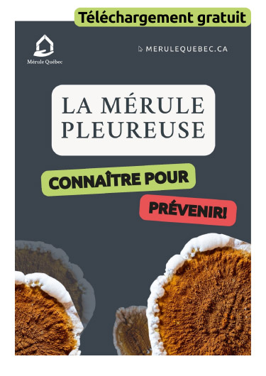 Guide du membre actif