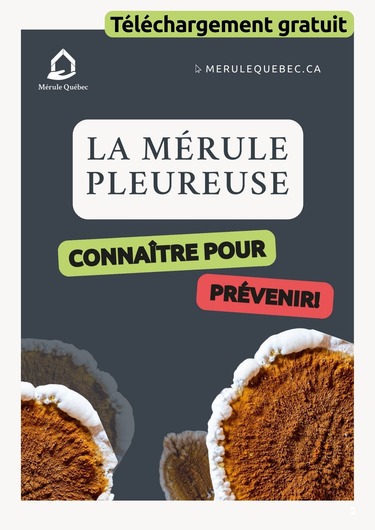 Guide du membre actif