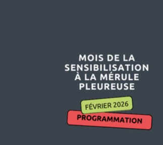 Mois de la sensibilisation à la mérule pleureuse logo